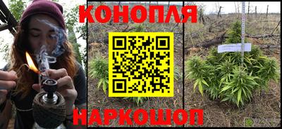герыч Кингисепп