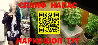 мяу мяу мука Кинель
