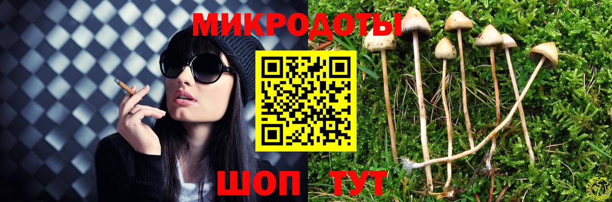 Кизилюрт  Псилоцибиновые грибы прущие грибы  Вход с VPN  Галлюциногенные грибы прущие грибы 